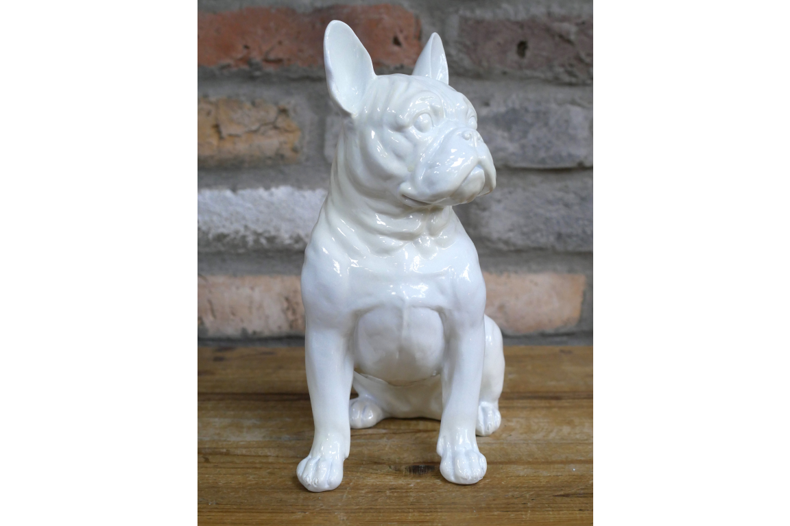 White Dog (Frenchie)