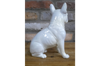 White Dog (Frenchie)