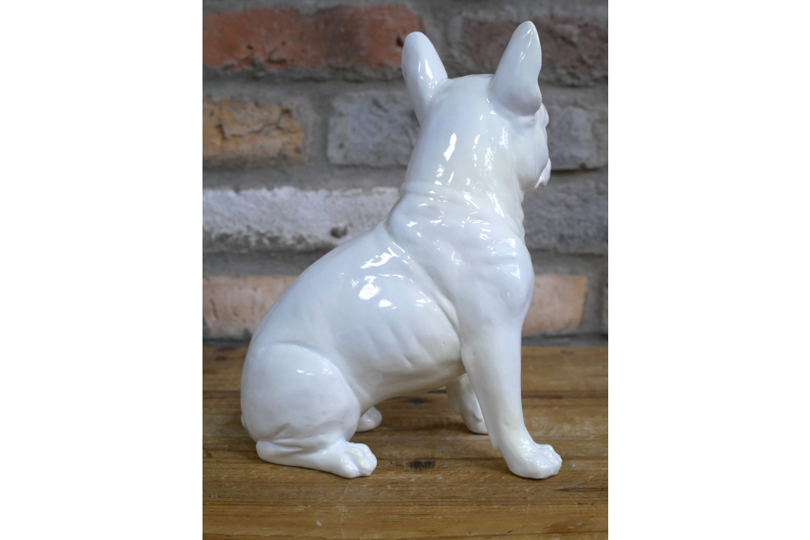 White Dog (Frenchie)