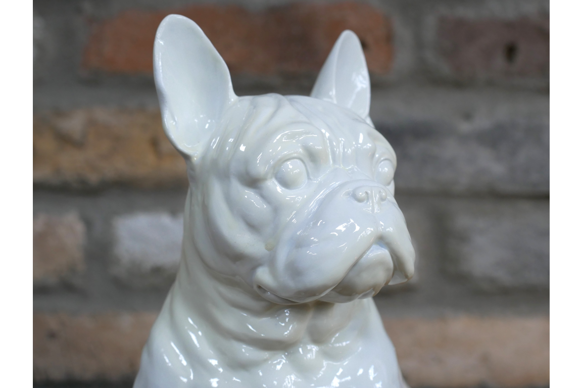White Dog (Frenchie)