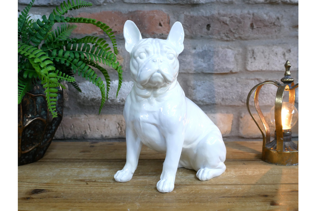 White Dog (Frenchie)
