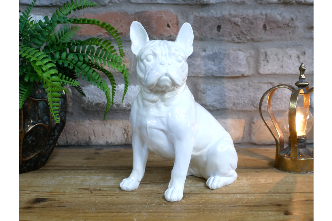White Dog (Frenchie)