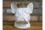 Frenchie With Crown