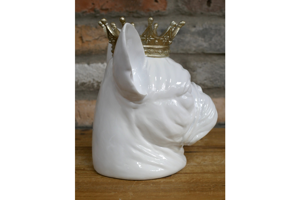 Frenchie With Crown