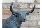 Bull