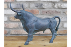 Bull