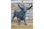 Bull