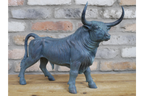 Bull
