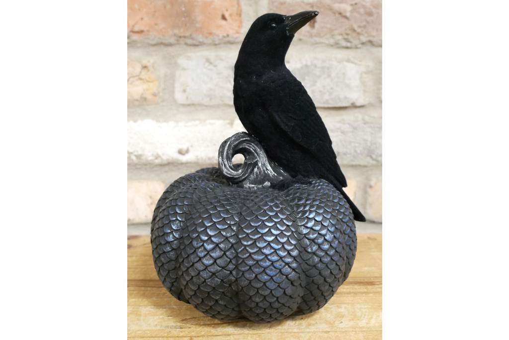 Crow On Pumpkin