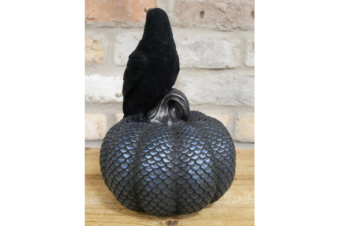 Crow On Pumpkin