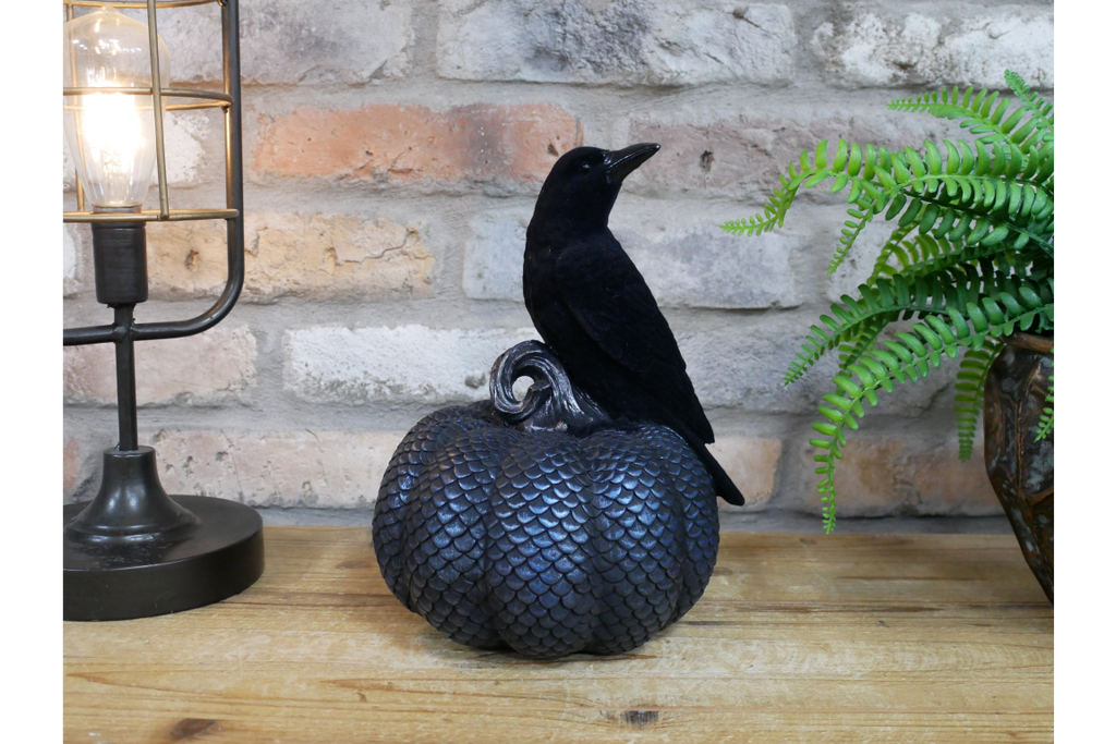 Crow On Pumpkin