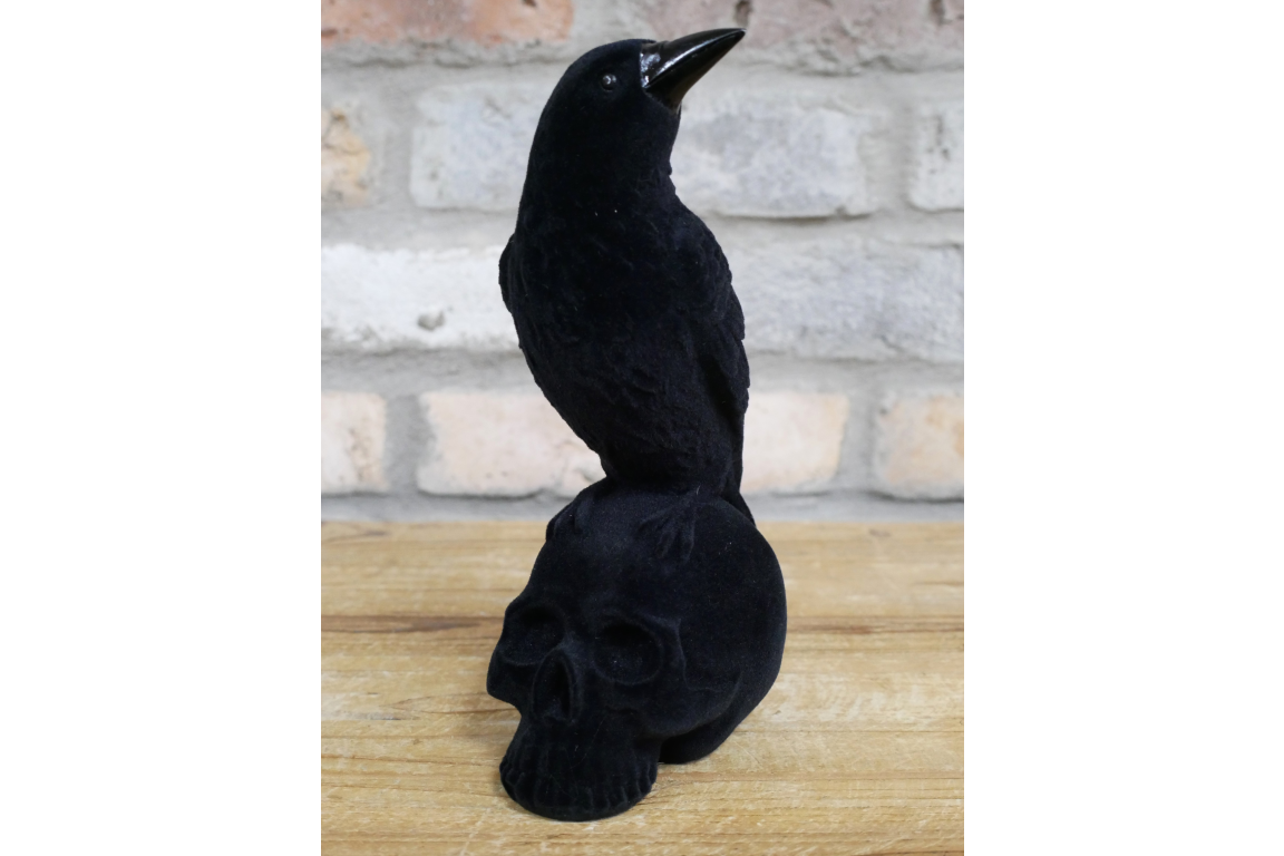 Crow On Skull