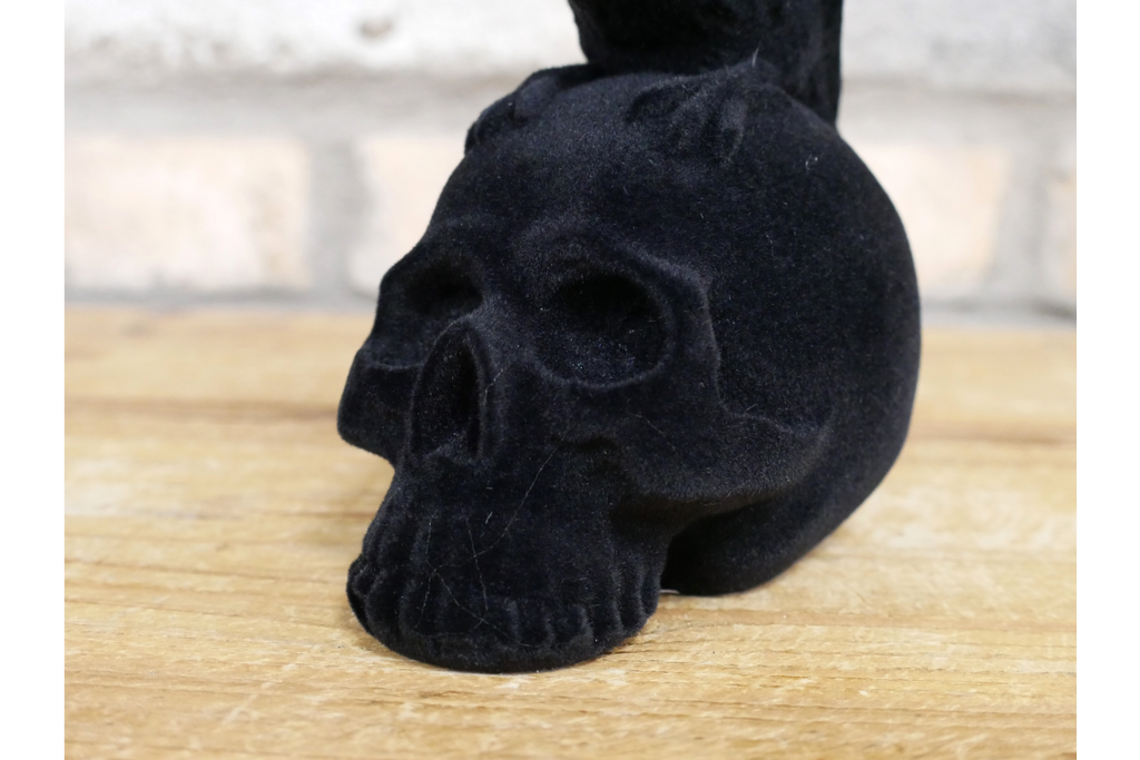 Crow On Skull