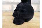 Crow On Skull