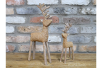 Set Of Two Stags