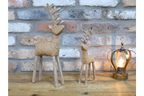 Set Of Two Stags