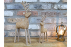 Set Of Two Stags