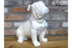 White Bulldog