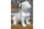 White Bulldog