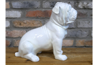 White Bulldog