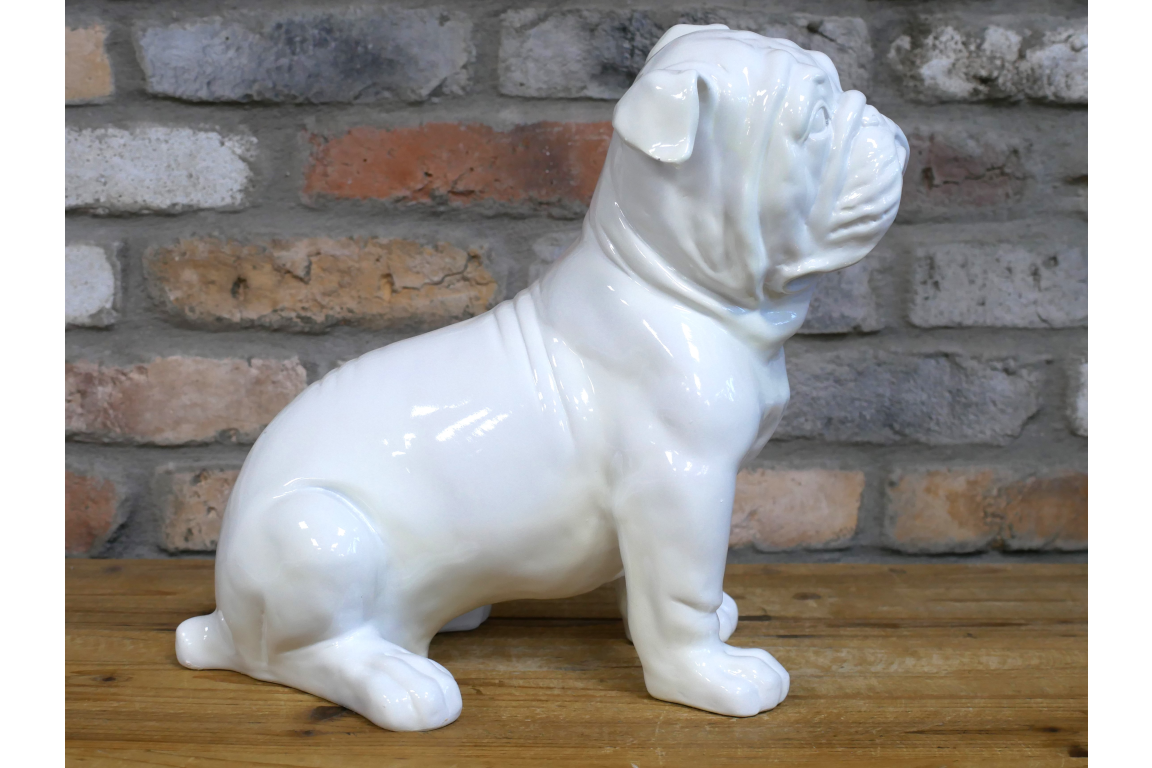 White Bulldog