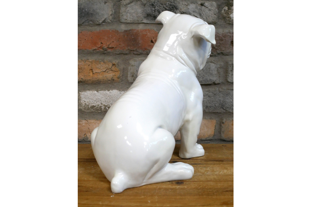 White Bulldog