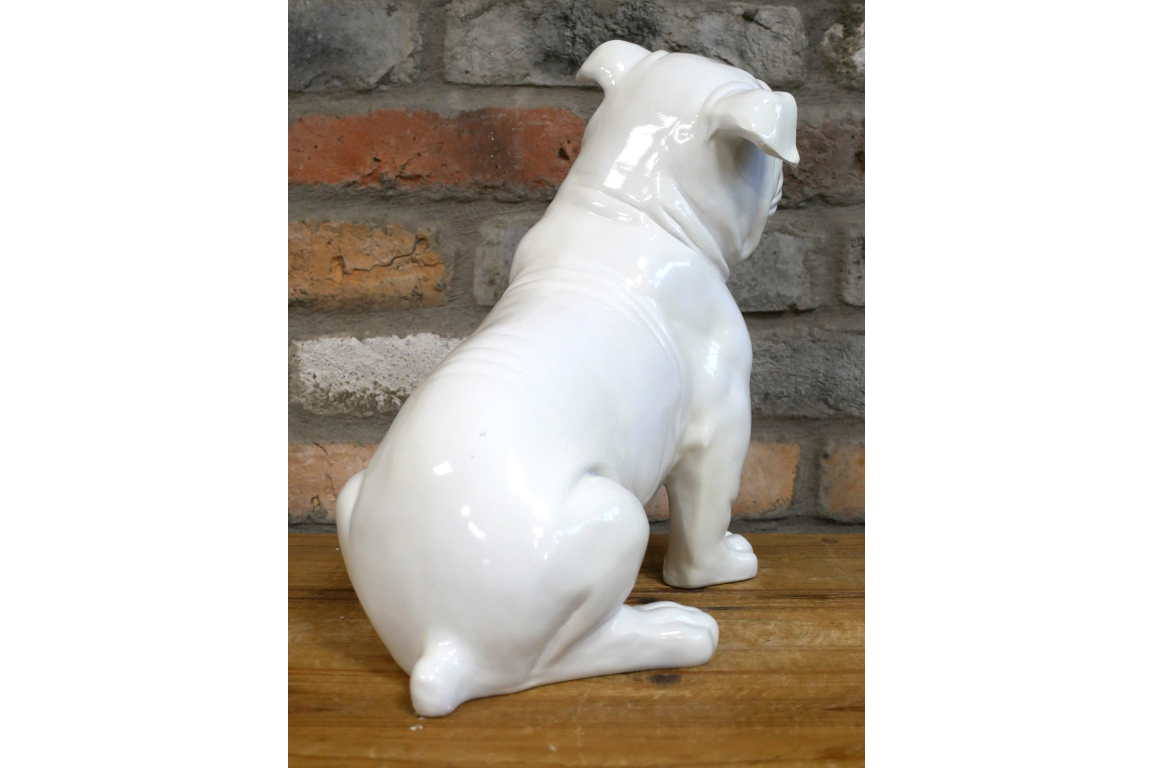 White Bulldog
