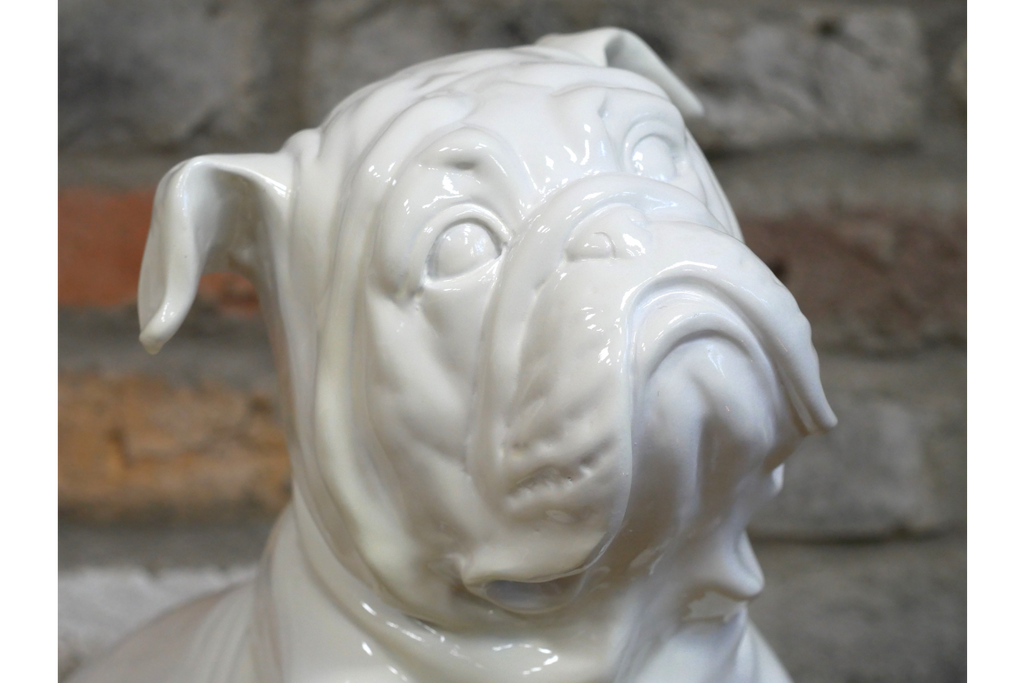 White Bulldog