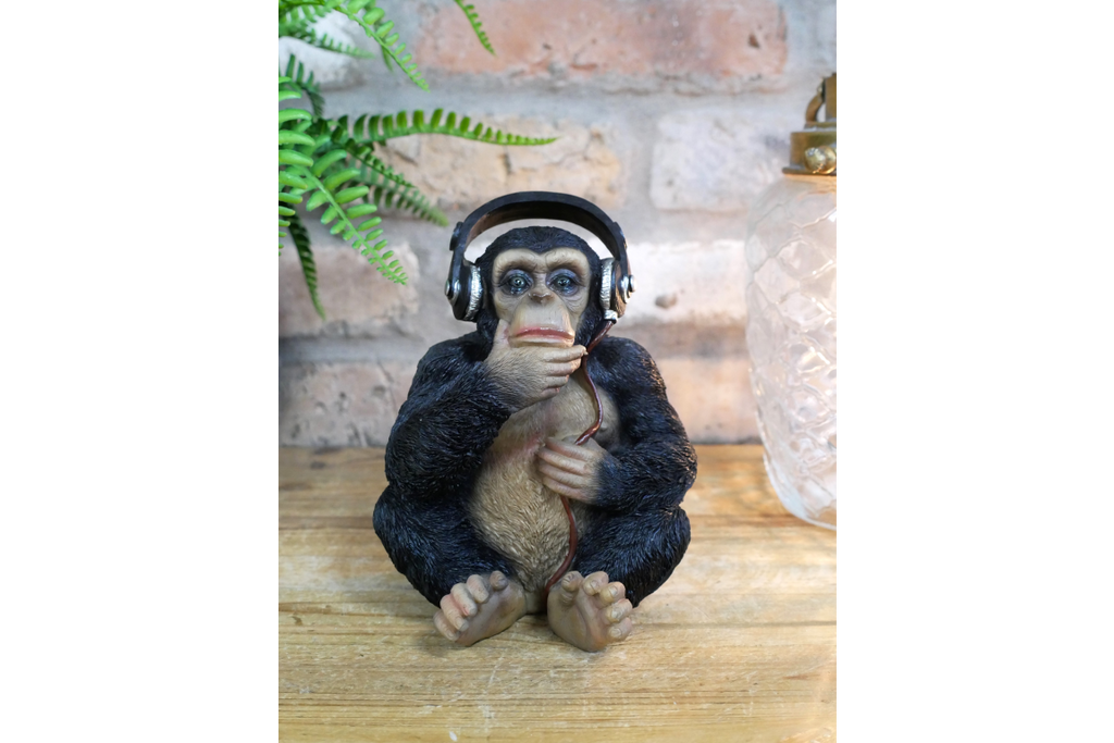 Monkey With Headphones