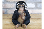 Monkey With Headphones
