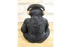 Monkey With Headphones