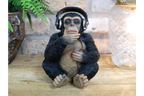 Monkey With Headphones