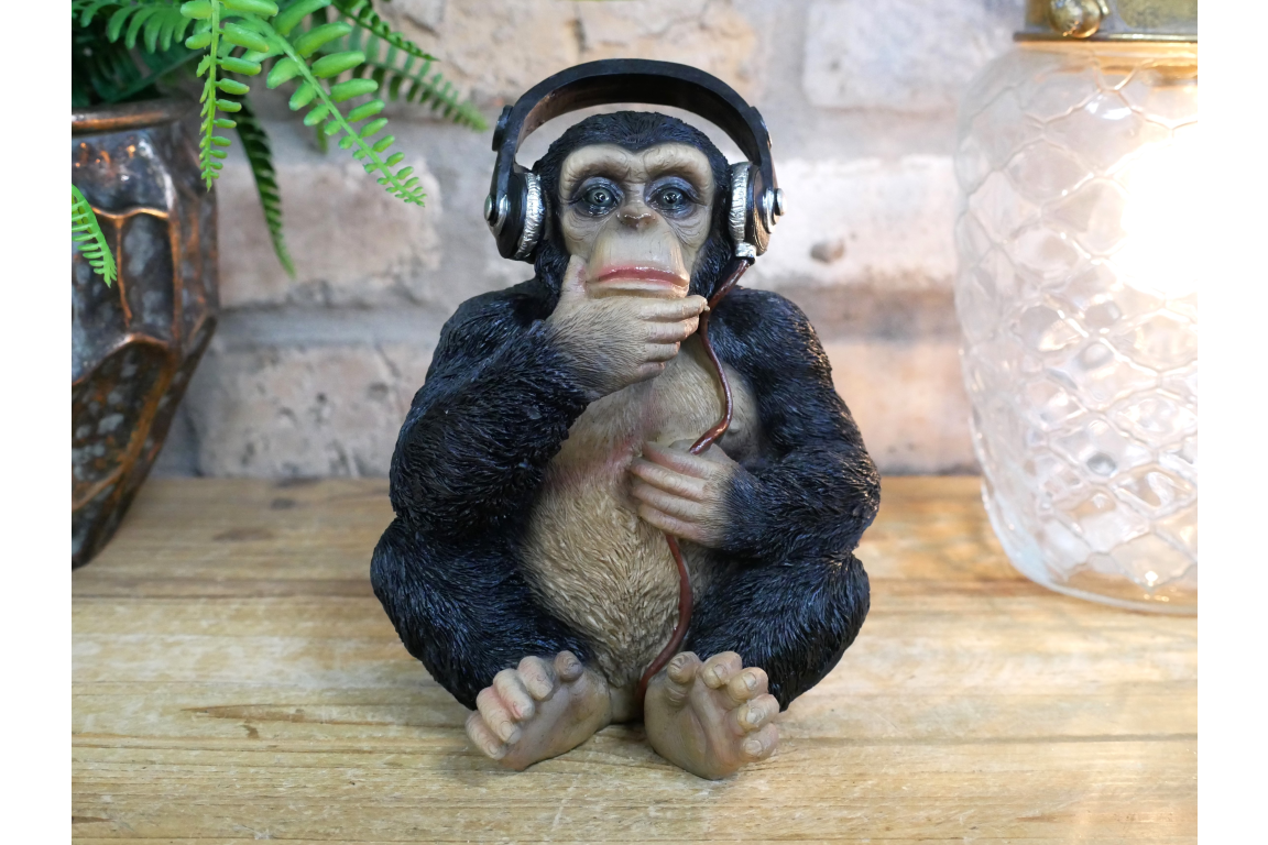 Monkey With Headphones