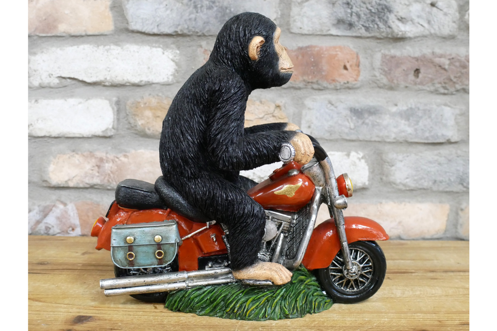 Monkey On Motorbike