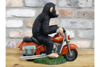 Monkey On Motorbike
