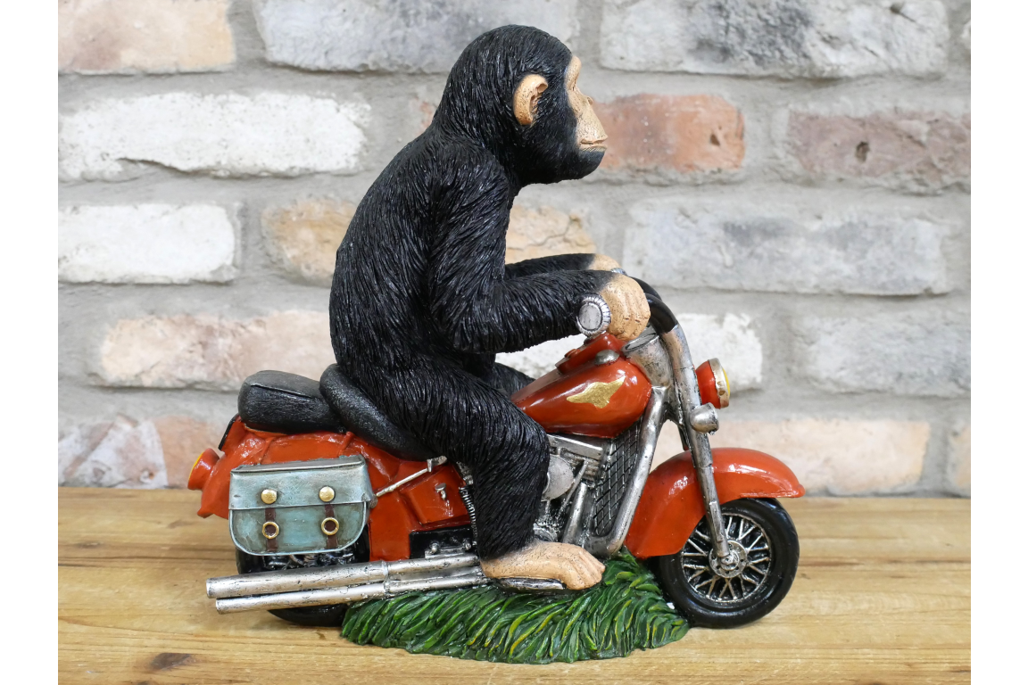 Monkey On Motorbike