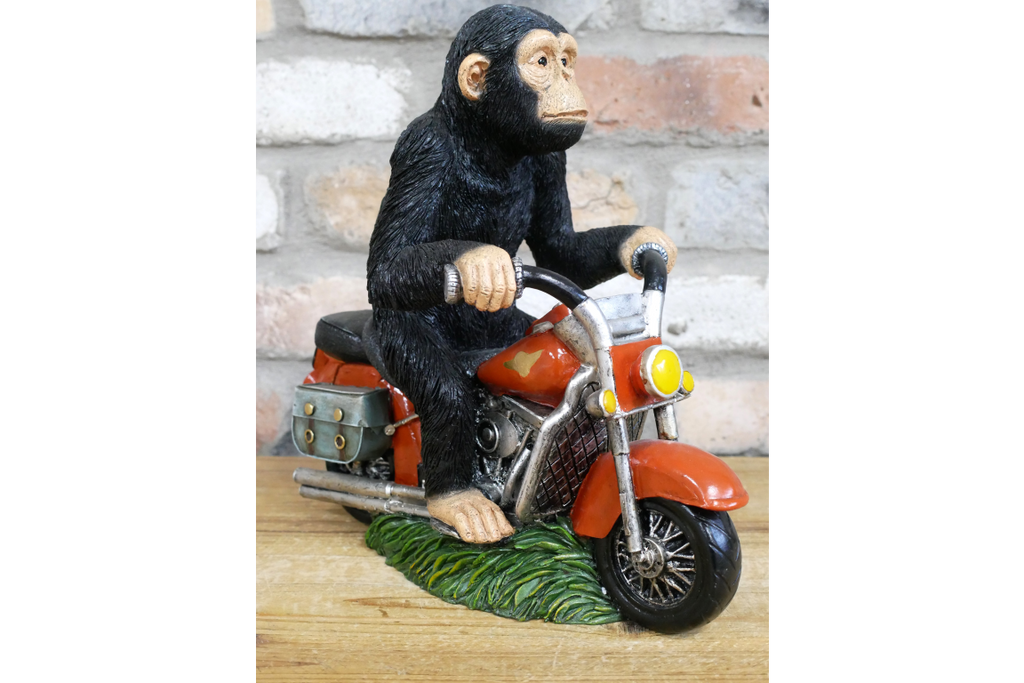Monkey On Motorbike
