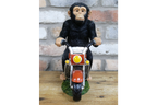 Monkey On Motorbike