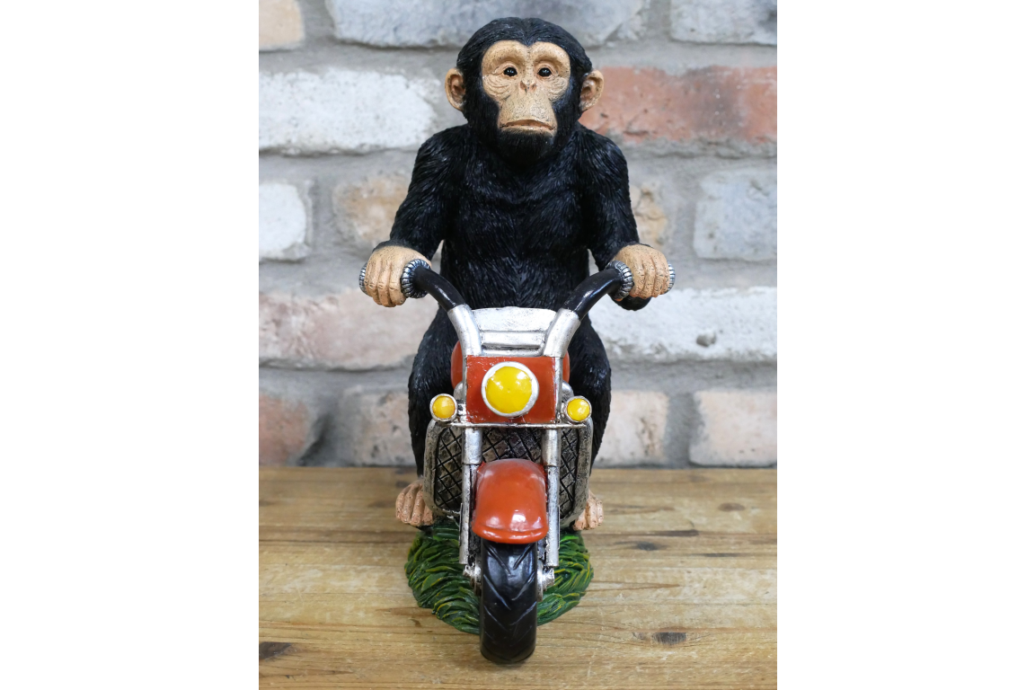 Monkey On Motorbike