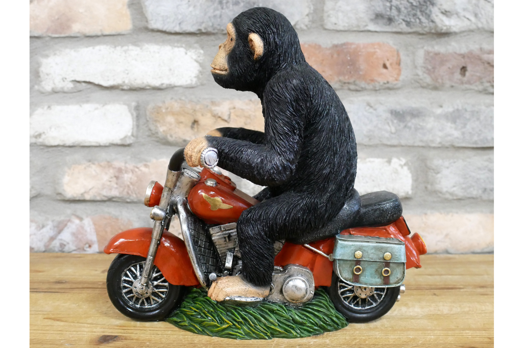 Monkey On Motorbike