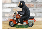 Monkey On Motorbike