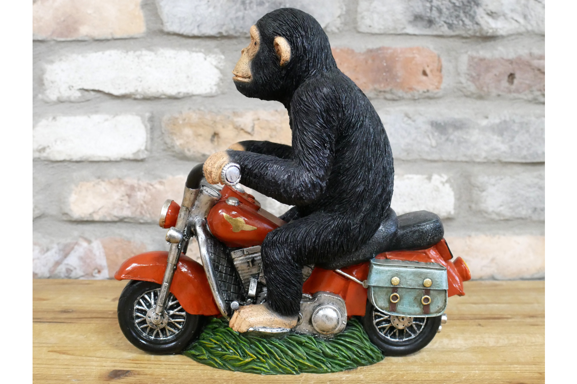 Monkey On Motorbike
