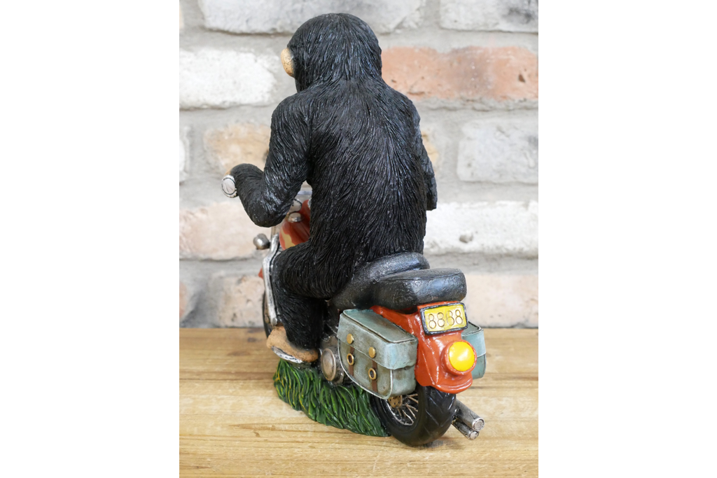 Monkey On Motorbike