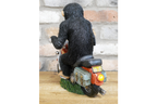Monkey On Motorbike