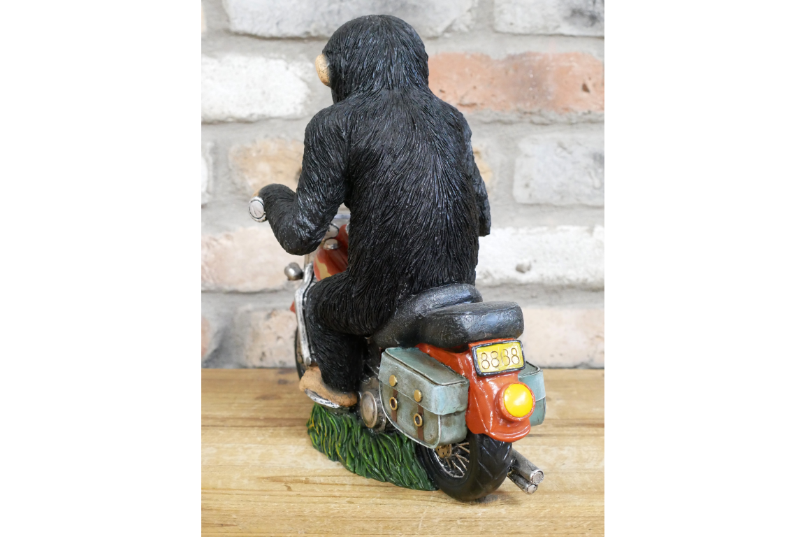 Monkey On Motorbike