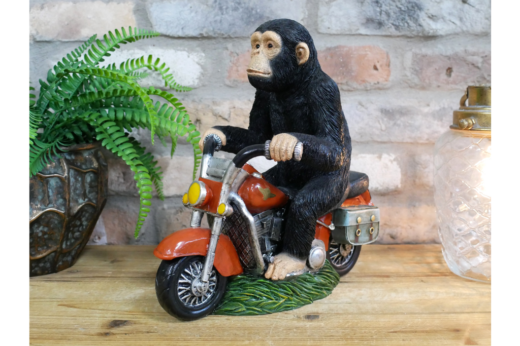 Monkey On Motorbike