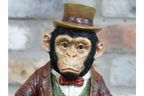 Monkey In Suit