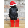 Drunken Monkey - Christmas