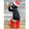Drunken Monkey - Christmas
