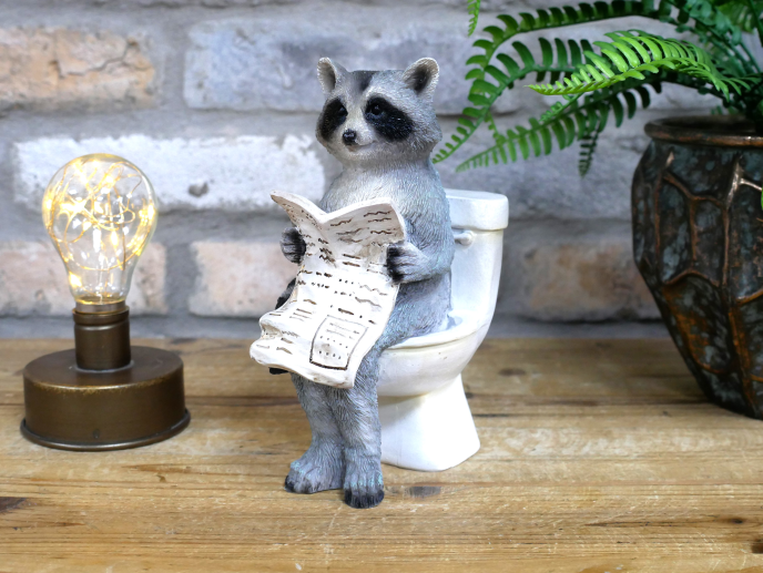Racoon On The Loo